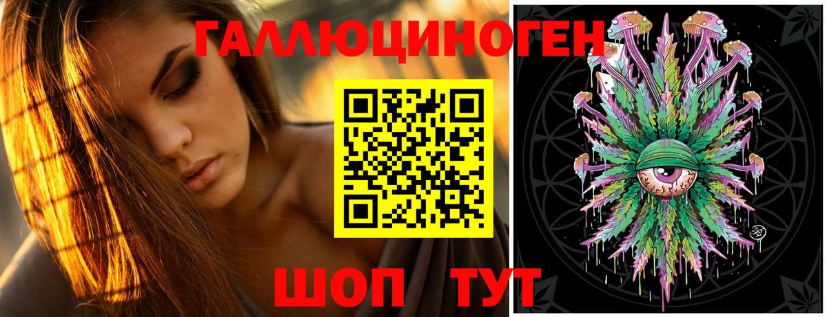 Псилоцибиновые грибы Psilocybe Аргун